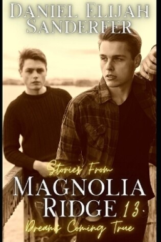 Cover of Stories From Magnolia Ridge 13