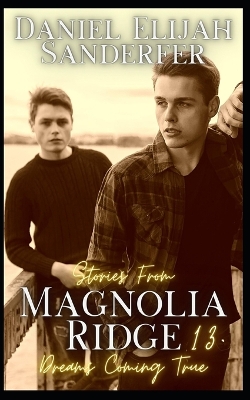 Cover of Stories From Magnolia Ridge 13