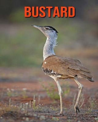 Book cover for Bustard