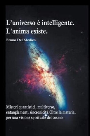 Cover of L'universo è intelligente. L'anima esiste. Misteri quantistici, multiverso, entanglement, sincronicità. Oltre la materia, per una visione spirituale del cosmo