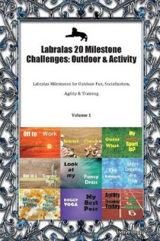 Cover of Labralas 20 Milestone Challenges