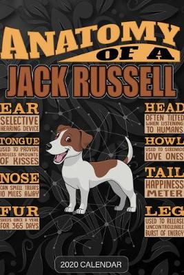 Book cover for Anatomy Of A Jack Russell Terrier Jack Russell JRT Jack