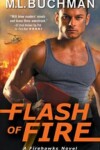 Book cover for Flash of Fire