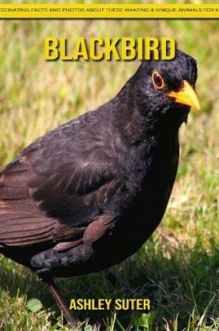 Cover of Blackbird