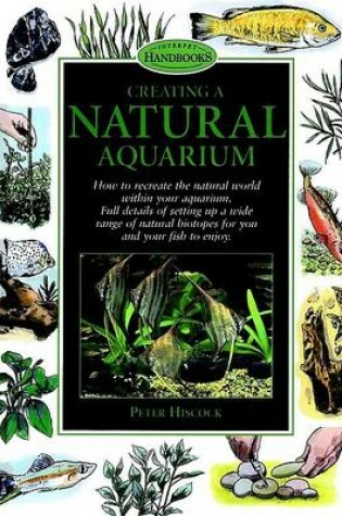 Cover of Creating a Natural Aquarium