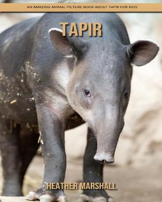 Book cover for Tapir