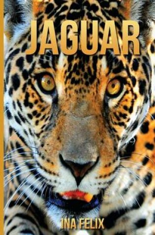 Cover of Jaguar