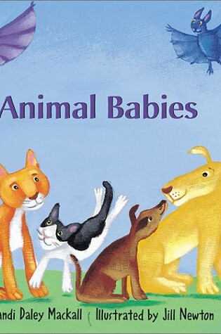 Cover of Animal Babies