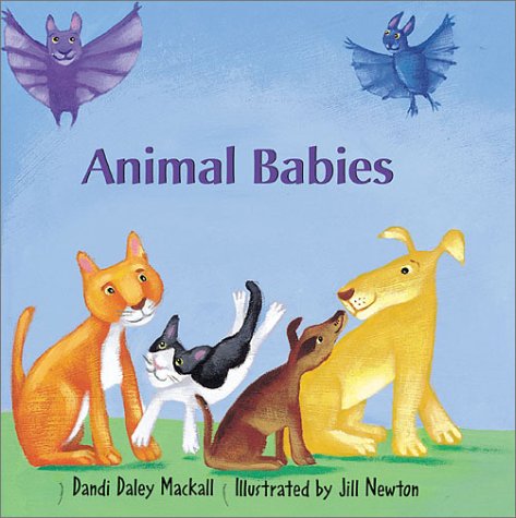 Book cover for Animal Babies