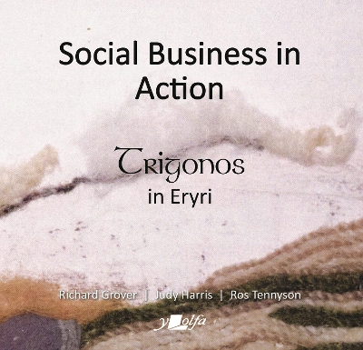 Book cover for Social Business in Action - Trigonos in Eryri