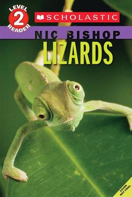 Book cover for Lizards (Scholastic Reader, Level 2: Nic Bishop #3)