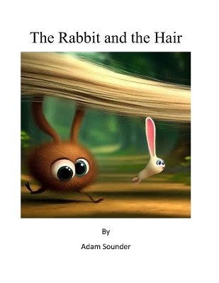 Book cover for The Rabbit and the Hair