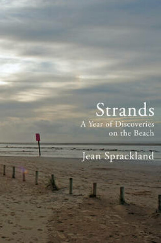 Cover of Strands