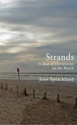 Book cover for Strands