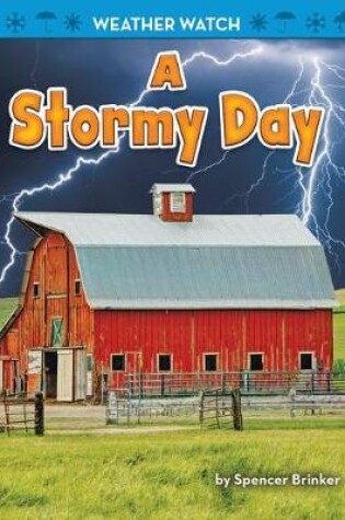 Cover of A Stormy Day