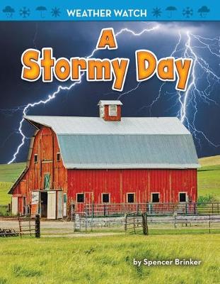 Book cover for A Stormy Day