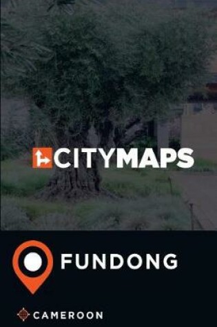 Cover of City Maps Fundong Cameroon