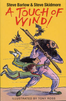 Book cover for A Touch of Wind