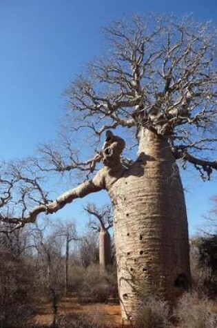 Cover of Baobab Tree Journal