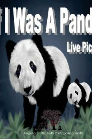Cover of If I Was A Panda