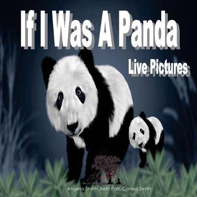 Book cover for If I Was A Panda