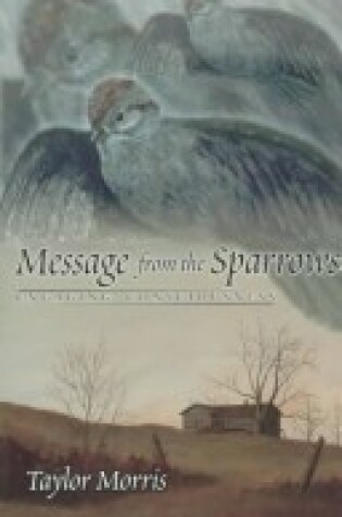 Cover of Message from the Sparrows: Engaging Consciousness