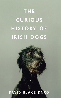 Book cover for The Curious History of Irish Dogs