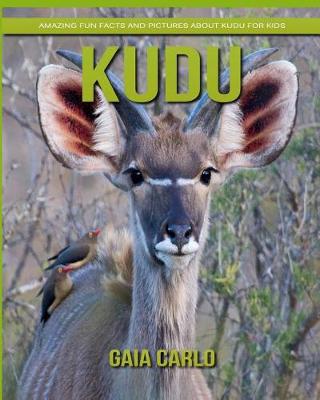 Book cover for kudu