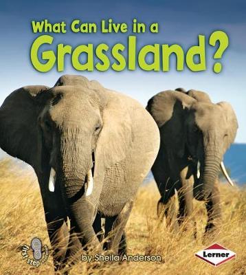 Book cover for What Can Live in a Grassland?