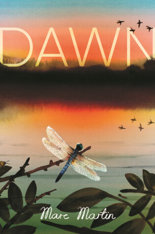 Cover of Dawn