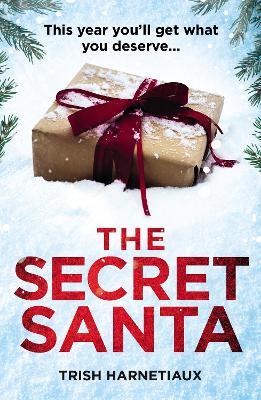 Book cover for The Secret Santa