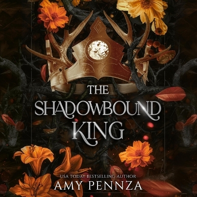 Book cover for The Shadowbound King