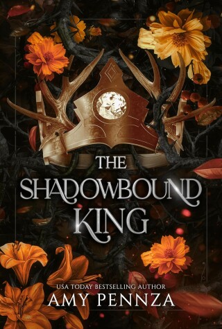 Book cover for The Shadowbound King