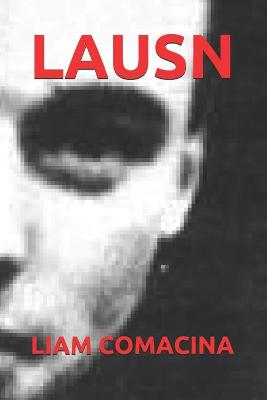 Book cover for Lausn