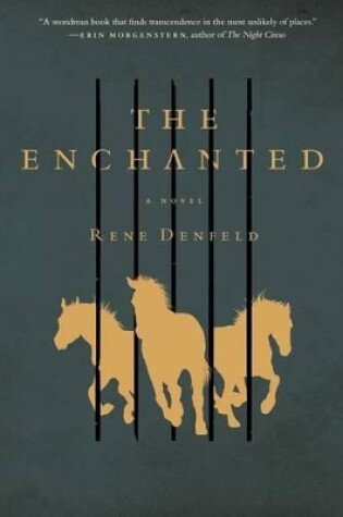 Cover of The Enchanted