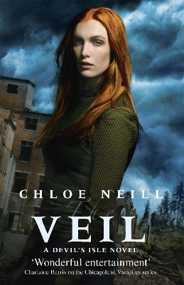 Book cover for The Veil