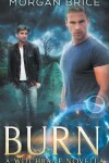 Book cover for Burn