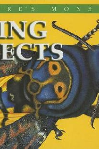 Cover of Flying Insects
