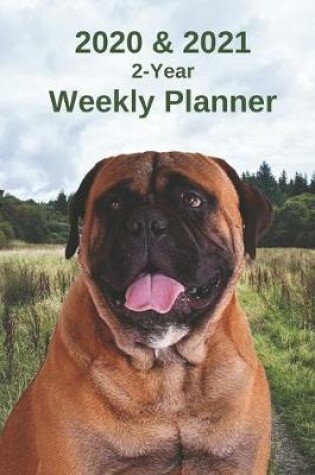 Cover of 2020 & 2021 Weekly Planner - Two Year Appointment Book Gift - Two-Year Agenda Notebook for Mastiff Dog Owners