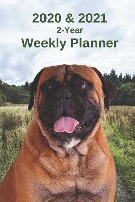 Book cover for 2020 & 2021 Weekly Planner - Two Year Appointment Book Gift - Two-Year Agenda Notebook for Mastiff Dog Owners