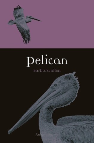 Cover of Pelican