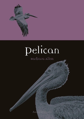 Book cover for Pelican