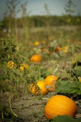 Cover of Welcome to the Pumpkin Patch Autumn Harvest Journal