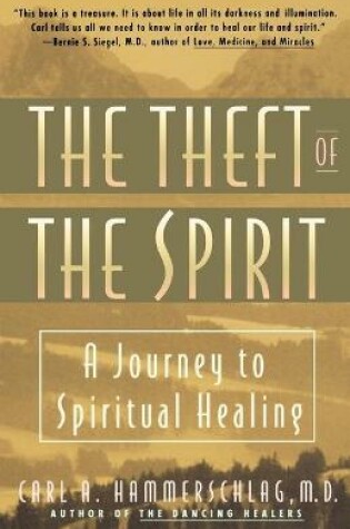 Cover of Theft of the Spirit