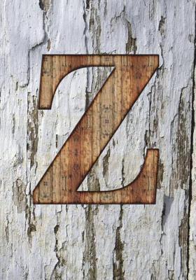 Book cover for Z