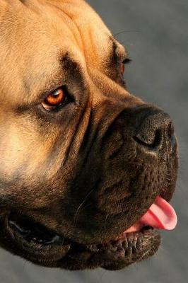 Book cover for The Bull Mastiff Dog Side Portrait Journal