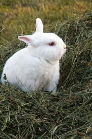 Cover of Little White Bunny Rabbit Animal Journal