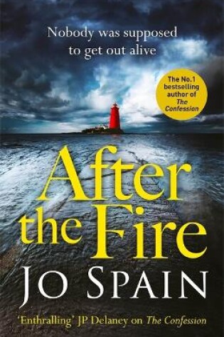 Cover of After the Fire