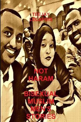 Book cover for Not Haram : Bisexual Muslim Men's Stories