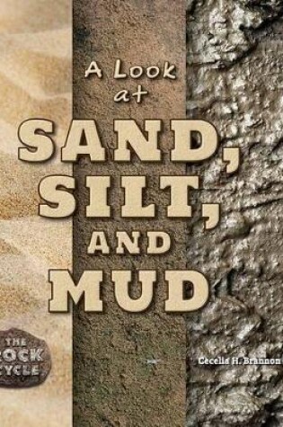 Cover of A Look at Sand, Silt, and Mud